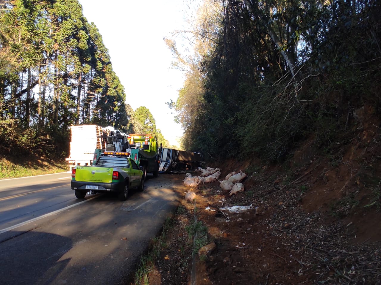 Carreta tomba na BR-277 e motorista morre no acidente em Candói