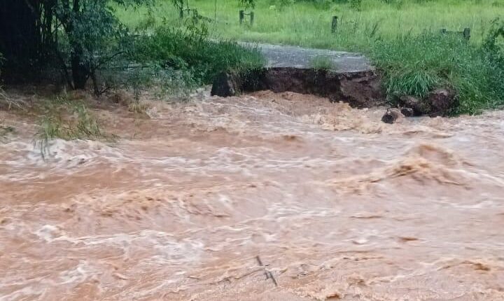 A estrutura foi arrastada pelas águas do rio e foi localizada a mais de 300 metros de sua posição original, segundo moradores, presa em uma curva do rio. - Foto: Marciele Mezzari